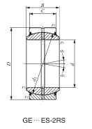 GE25-ES-2RS-AMC